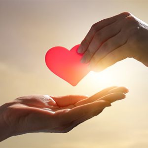 Taller de Herida de Privación y Abandono